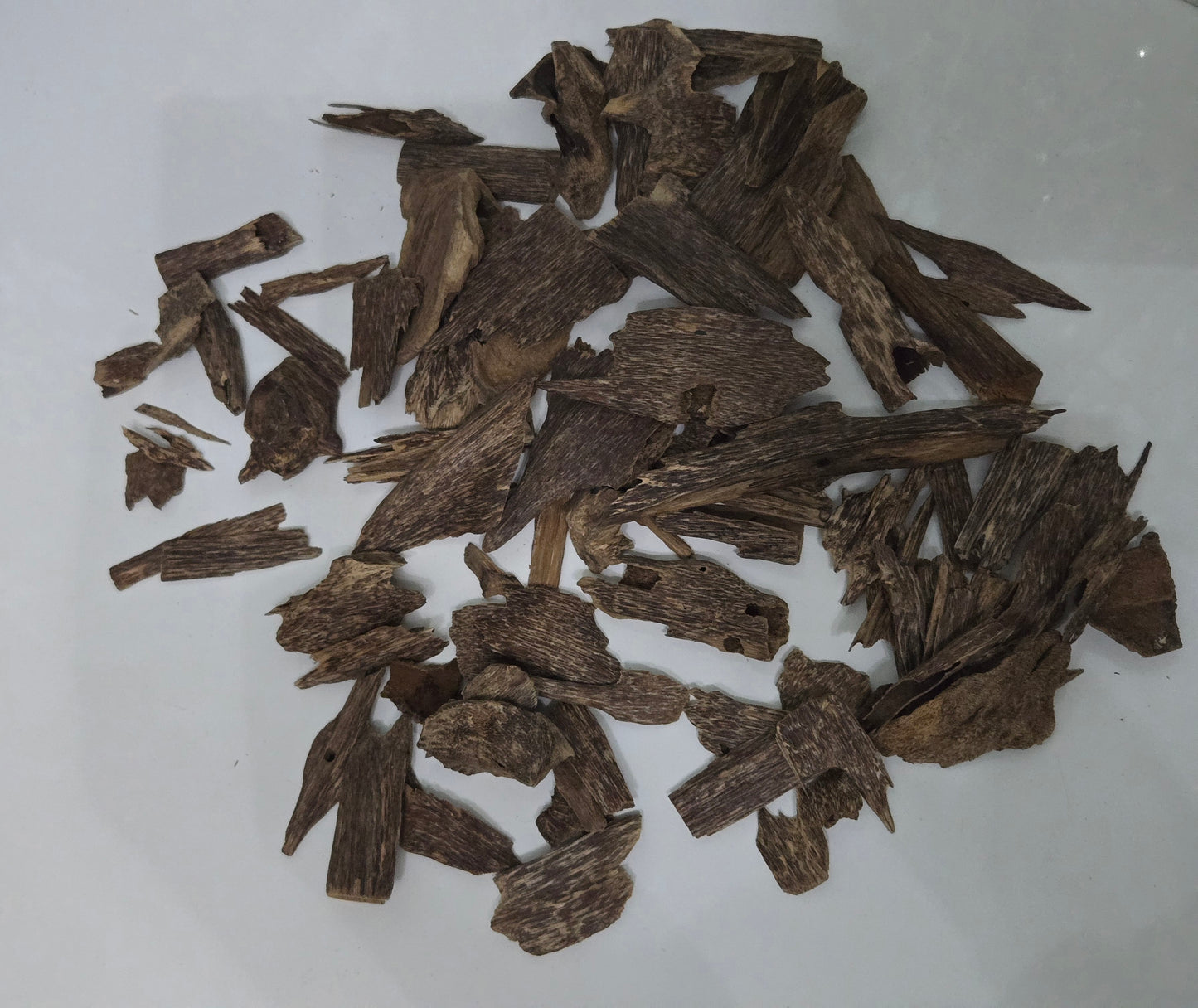 عود سومطري عود سومطري