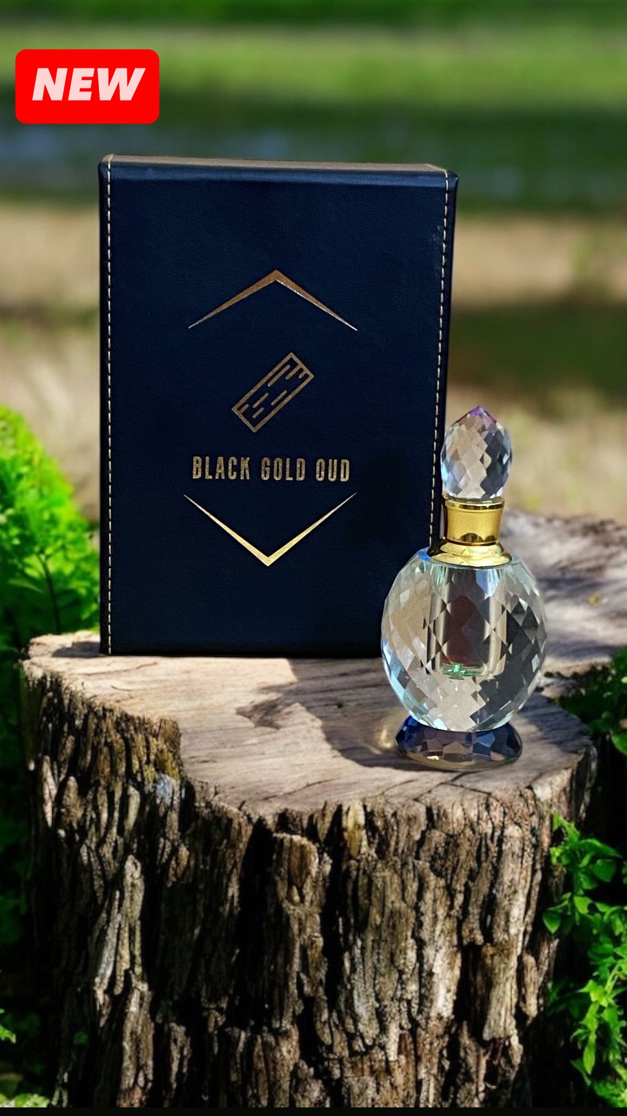 دهن عود كوة تشانغ